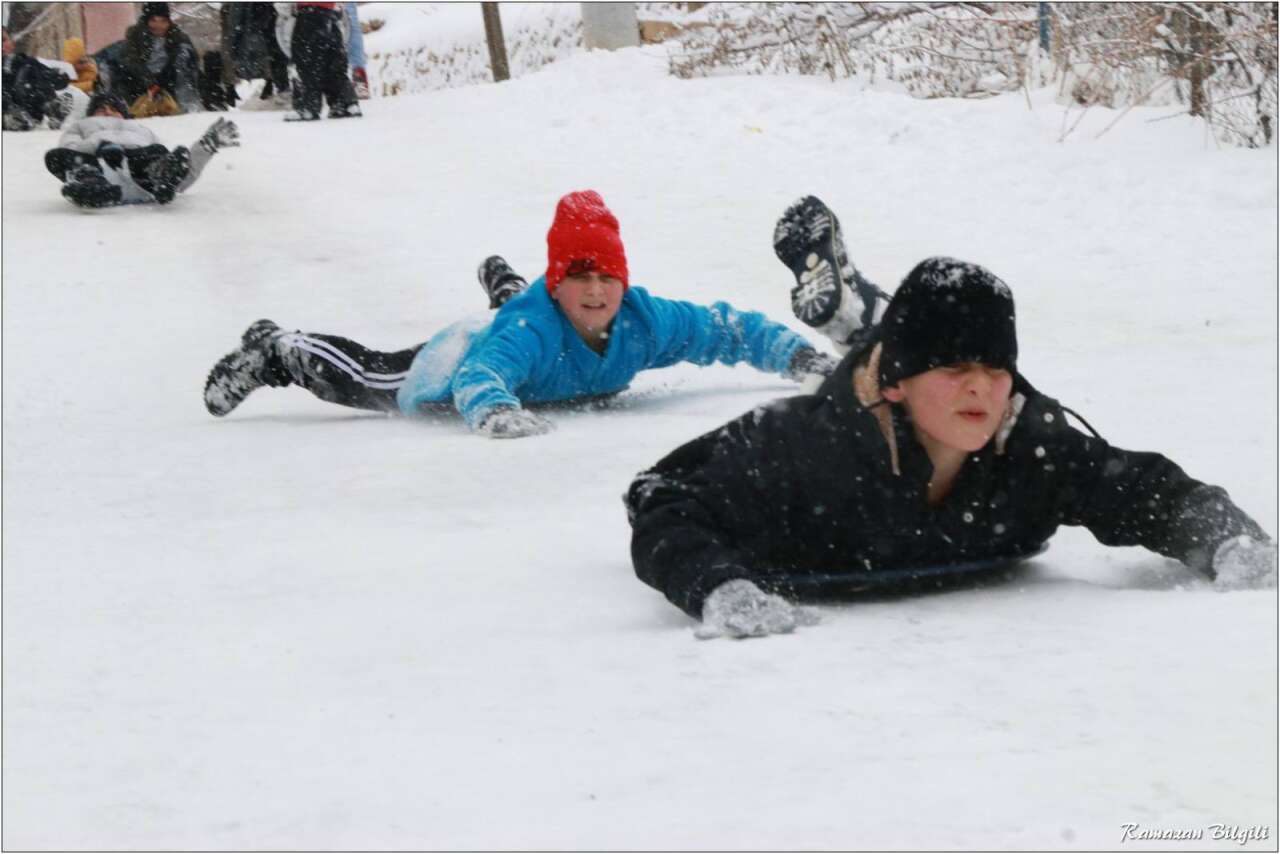 Konya’da hasret bitti, siniyi kapan sokağa çıktı 1